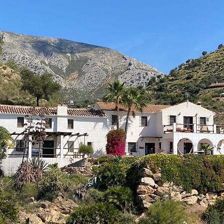 Cortijo Las Palmeras El Chorro Alora Ngoại thất bức ảnh