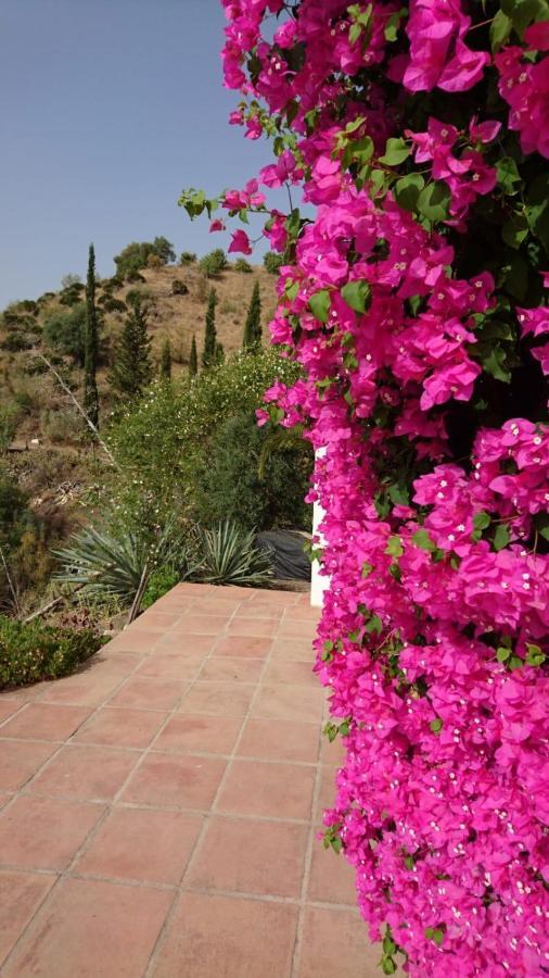 Cortijo Las Palmeras El Chorro Alora Ngoại thất bức ảnh