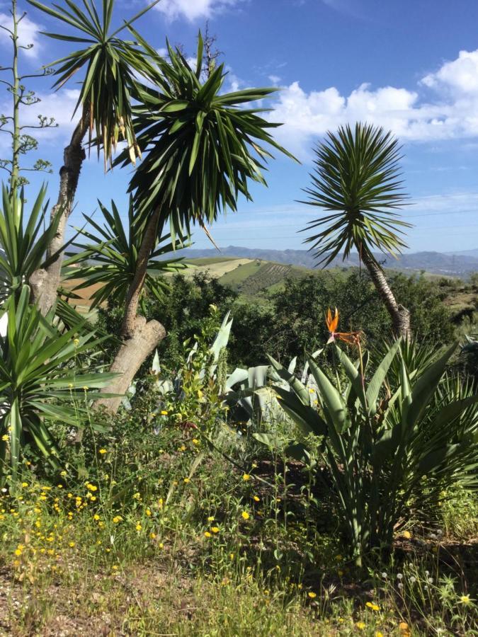 Cortijo Las Palmeras El Chorro Alora Ngoại thất bức ảnh